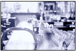 Chain Sales